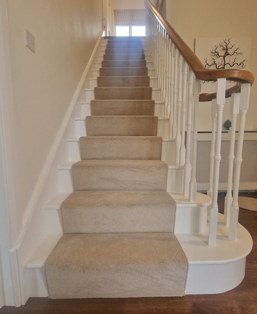 A carpeted straight flight with a bullnose bottom step